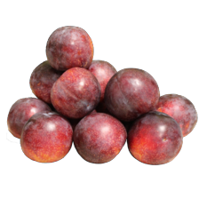 Pruimen
